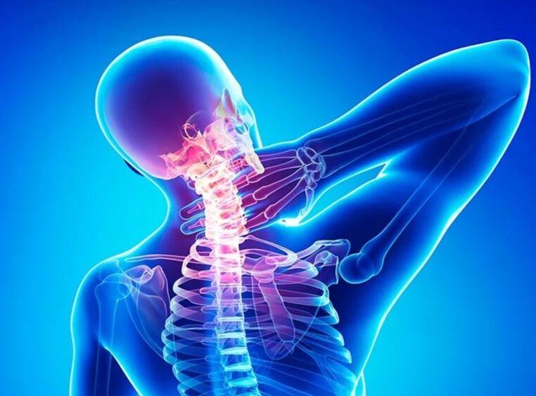 Osteocartilage of the cervical vertebra
