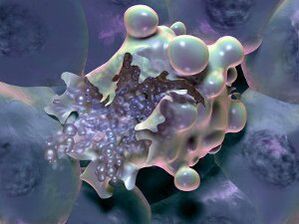 Cell death