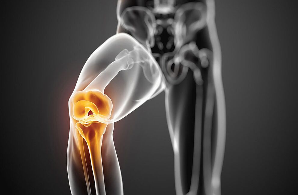 Knee joints