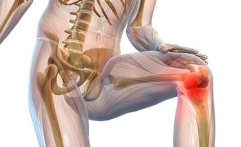 Knee joints