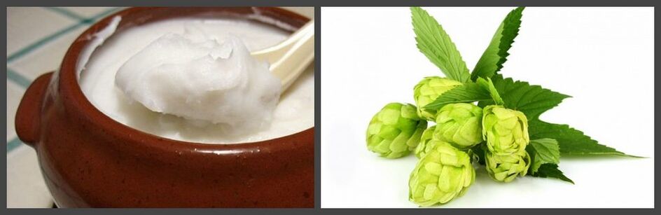Hops and lard used to prepare osteochondrosis ointment